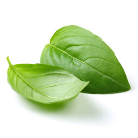 Basil Infused Olive Oil