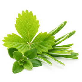 Italian Herbs Infused Olive Oil