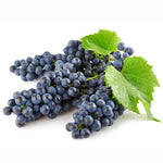 Italian Barrel Aged Red Wine Vinegar